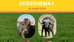 ECOSCHEMA 1: le novità del 2026