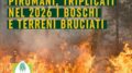 INCENDI: COLDIRETTI, 6 SU 10 CAUSATI DAI PIROMANI, TRIPLICATI NEL 2026 I BOSCHI E TERRENI BRUCIATI