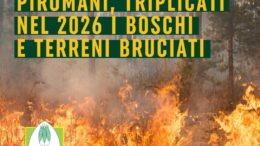 INCENDI: COLDIRETTI, 6 SU 10 CAUSATI DAI PIROMANI, TRIPLICATI NEL 2026 I BOSCHI E TERRENI BRUCIATI
