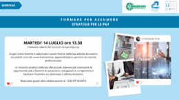 Webinar. Formare per assumere: strategie per le PMI