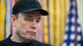 Musk e Le Pen: Ruotolo chiede garanzie contro l’interferenza nelle elezioni Ue