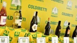 Viticoltura, promozione negli USA programma OCM, i prossimi eventi