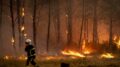 Incendi “mostruosi” in Francia e Spagna, oltre 325mila evacuati. In arrivo ondata di caldo ancora più intensa
