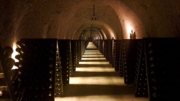 Vino: sempre più enoturisti nella Champagne, alla scoperta di Maison blasonate e vignerons