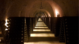 Vino: sempre più enoturisti nella Champagne, alla scoperta di Maison blasonate e vignerons