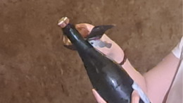 Vino: in Champagne vendemmia 2026 la più anticipata di sempre, sfida cambiamenti climatici e mercati