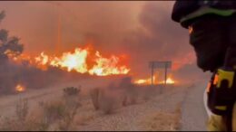 Incendio devastante in Andalusia, i vigili del fuoco cercano di domare le fiamme