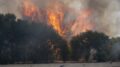 Francia e Spagna in ginocchio per gli incendi, Macron schiera l’esercito