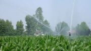 Consorzio Brenta, misure straordinarie per il contenimento della carenza idrica