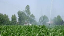 Misure straordinarie per il contenimento della carenza idrica, Consorzio di Bonifica Brenta dal 4 agosto