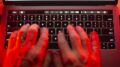 Pianificavano in chat stupri a mogli e compagne, 57 arresti in tutta Europa