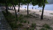 Cina, tifone Noul devasta la provincia del Guangdong: evacuate 800mila persone