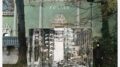 Russia, inaugura domani a Venezia Padiglione (Dis)Senso: contro presenza Mosca a Biennale e uso della cultura come strumento di art washing