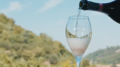 Incremento del potenziale della DOC Prosecco