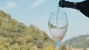 Incremento del potenziale della DOC Prosecco