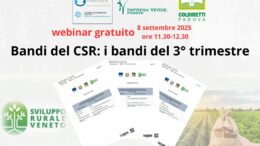 Sportello Mentore: webinar gratuito su bandi del CSR: i bandi del 3° trimestre, 8 settembre ore 11.30