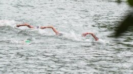 Bronzo per Paltrinieri nella 5 km agli Europei di fondo, oro a Wellbrock