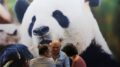 Cina, in aumento dell’11,3% i ricavi dell’industria pubblicitaria