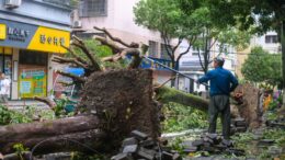 Cina, stanziati 180 mln di yuan in aiuti per le aree colpite da tifone e siccità
