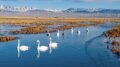 Cina, un piano per rendere gli ecosistemi più resilienti entro il 2030