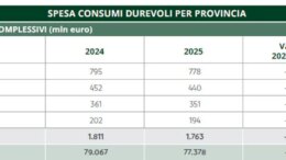 Friuli Venezia Giulia, nel 2025 beni durevoli in calo (-2,6%) a 1,7 mln