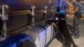 Sequestrati 85 kg di droga al porto di Civitavecchia, arrestato autista bulgaro