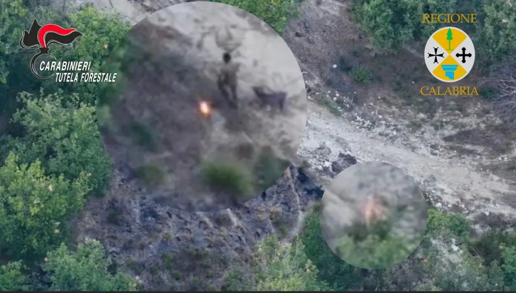 Sorpreso dal drone a incendiare bosco, arrestato allevatore nel vibonese Sorpreso dal drone a incendiare bosco, arrestato allevatore nel vibonese