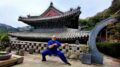 Cina-Italia, Angelo D’Aria “Arti marziali strettamente legate a cultura nazionale”