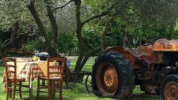 FERRAGOSTO: COLDIRETTI/IXE’, 29 MLN DI ITALIANI FUORI CASA TRA MARE, CAMPAGNA, MONTAGNA E GITE FUORI PORTA