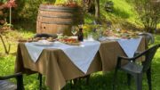 ESODO: COLDIRETTI/IXÈ, TURISMO DEL CIBO PER 25 MILIONI DI ITALIANI, BOOM NELL’ESTATE 2026