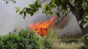 Incendi, da in inizio luglio in Emilia-Romagna andati in fumo quasi 220 ettari di territorio