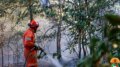 Incendi nel Fiorentino e in Versilia, fiamme sotto controllo ma l’allerta resta alta