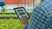 CONDIZIONALITA’ RAFFORZATA: LE NOVITA’ 2026 PER LE AZIENDE AGRICOLE