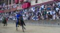 Palio di Siena, dopo 28 anni torna al successo la contrada del Nicchio. 13° trionfo di Tittia