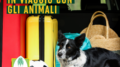 VACANZE, COLDIRETTI/IXE’, 6,1 MLN DI ITALIANI IN VIAGGIO CON GLI ANIMALI