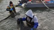 PESCA: COLDIRETTI, IL FERMO SI ESTENDE A TUTTO L’ADRIATICO