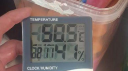Caldo, ‘effetto forno in casa’: come evitarlo e cosa fare quando succede