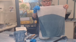 Turismo, a Tolosa tra tessuti e cosmetici la tintura ancestrale del bleu de pastel diventa esperienza