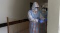 Dall’Ebola alla Dengue, la mappa dei focolai dell’estate 2026
