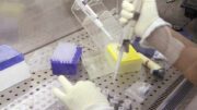 Bimba morta a Palermo per difterite, dimesso il cuginetto: era positivo anche lui ma vaccinato
