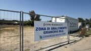GRANCHIO BLU: È ANCORA EMERGENZA? NE PARLA ALESSANDRO FACCIOLI DI COLDIRETTI PESCA