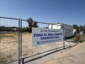 GRANCHIO BLU: È ANCORA EMERGENZA? NE PARLA ALESSANDRO FACCIOLI DI COLDIRETTI PESCA