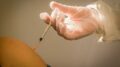 Morbillo negli Usa, peggiore epidemia in 35 anni: Kennedy Jr raccomanda vaccino