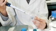 Melanoma, alcune cellule tumorali riescono a ‘nascondersi’ al sistema immunitario