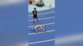 Robot in tilt in Cina, i video di due malfunzionamenti durante la Conferenza mondiale di Pechino