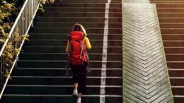 Giù rischio infarti e ictus, ecco perché fare le scale allunga la vita: lo studio