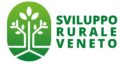 Csr Veneto 2023-2027: bandi in pubblicazione