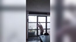 Tornado in Francia: il video della furia del vento a 100 km/h su una casa
