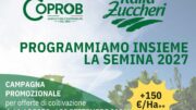 Semina barbabietola 2027: al via gli incontri con il consulente COPROB, Montagnana 29 settembre