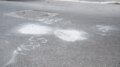 Auto sbanda sulla statale “Adriatica”, un morto in provincia di Chieti